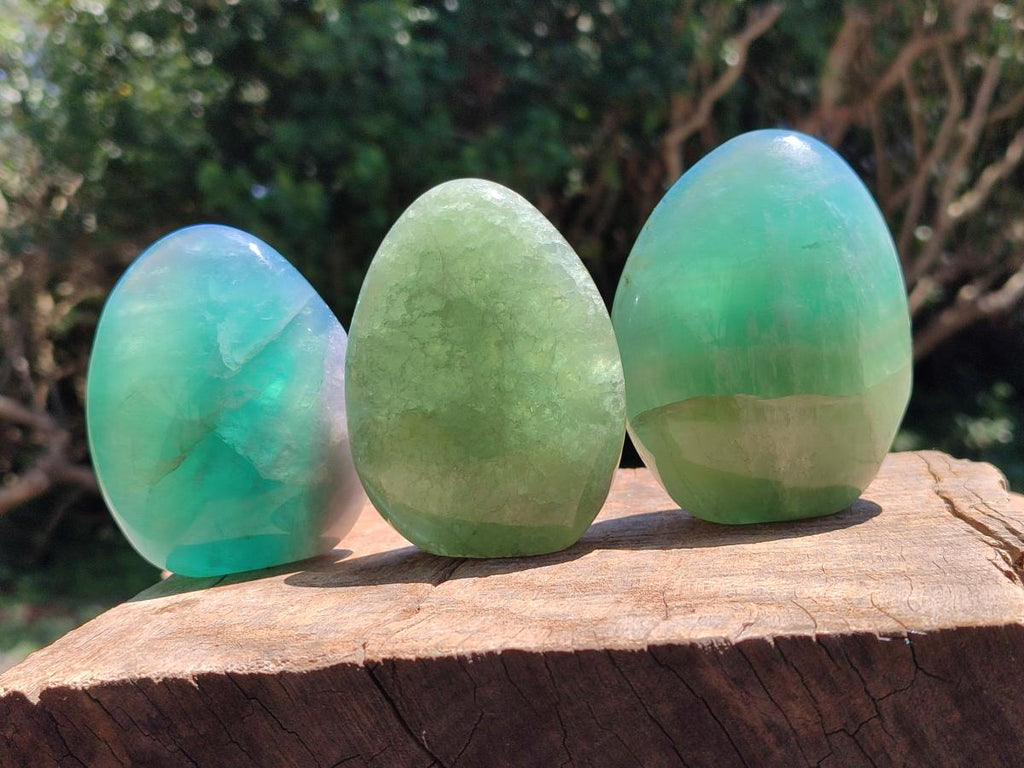 Polished Green Fluorite Standing Free Forms x 3 From Madagascar