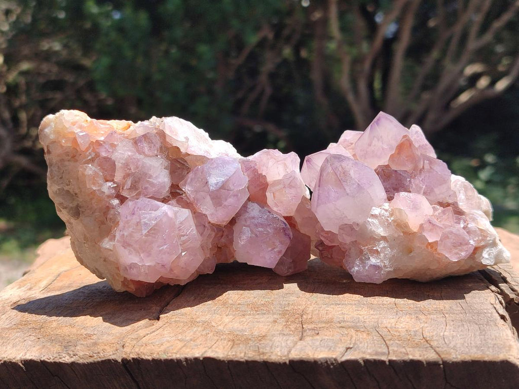Natural Amethyst Spirit Clusters x 5 From Boekenhouthoek, South Africa