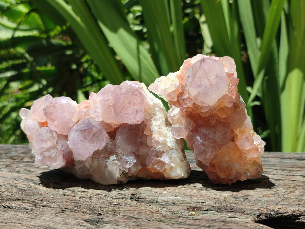Natural Amethyst Spirit Clusters x 5 From Boekenhouthoek, South Africa