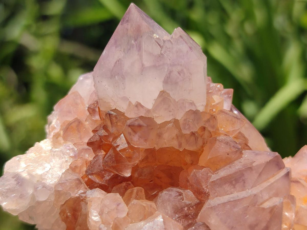 Natural Amethyst Spirit Clusters x 5 From Boekenhouthoek, South Africa
