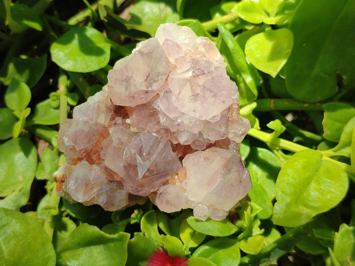 Natural Amethyst Spirit Clusters x 5 From Boekenhouthoek, South Africa