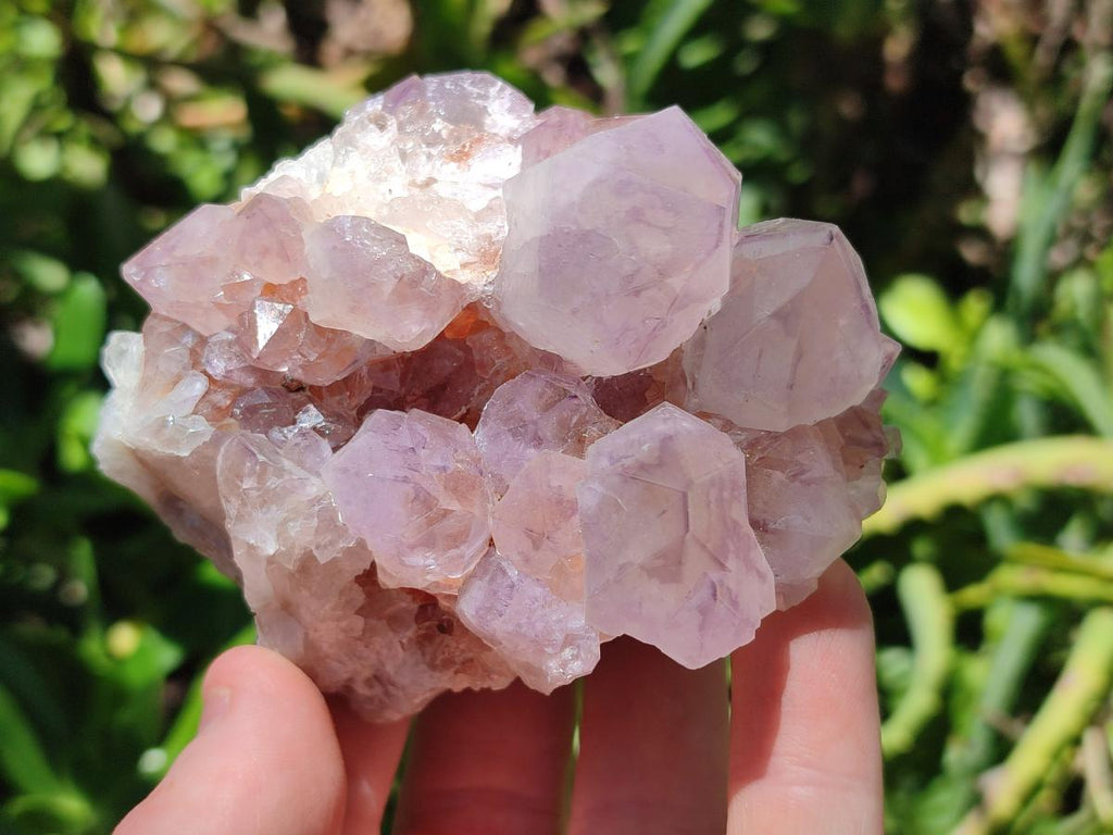Natural Amethyst Spirit Clusters x 5 From Boekenhouthoek, South Africa