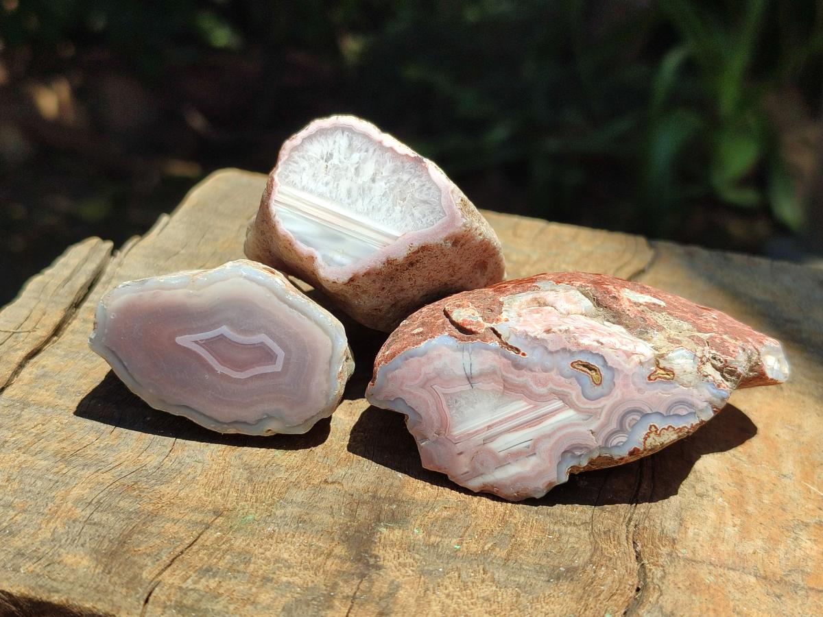 Polished Small One Side Red Shashe River Agate Nodules x 12 From Shashe River, Zimbabwe