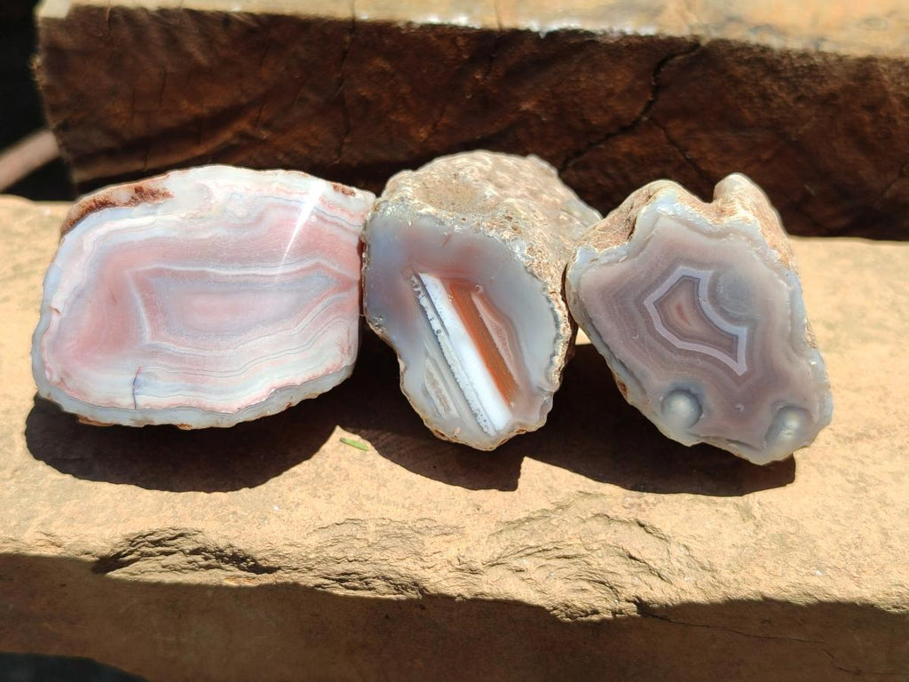 Polished Small One Side Red Shashe River Agate Nodules x 12 From Shashe River, Zimbabwe