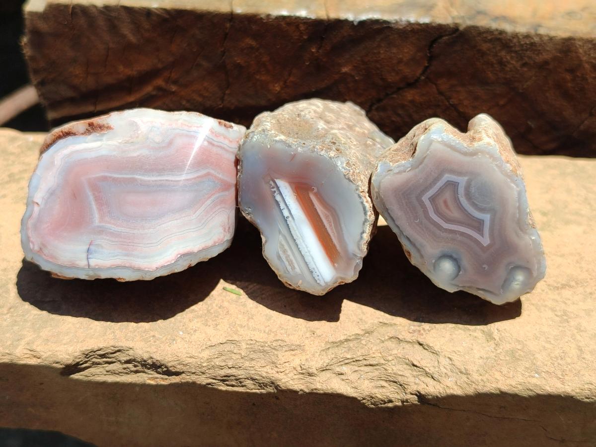Polished Small One Side Red Shashe River Agate Nodules x 12 From Shashe River, Zimbabwe