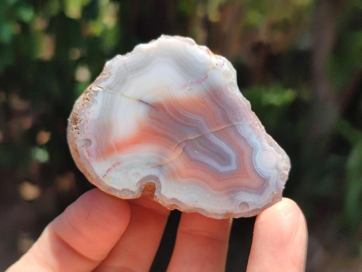Polished Small One Side Red Shashe River Agate Nodules x 12 From Shashe River, Zimbabwe