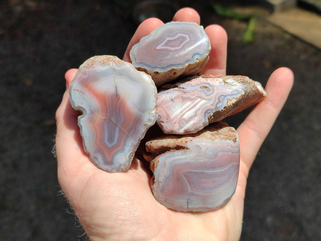 Polished Small One Side Red Shashe River Agate Nodules x 12 From Shashe River, Zimbabwe