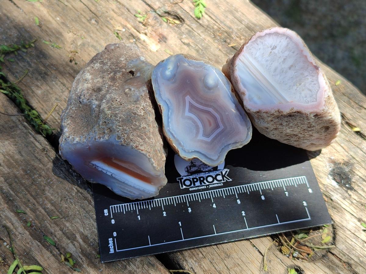 Polished Small One Side Red Shashe River Agate Nodules x 12 From Shashe River, Zimbabwe