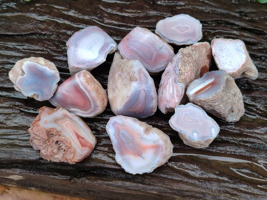 Polished Small One Side Red Shashe River Agate Nodules x 12 From Shashe River, Zimbabwe