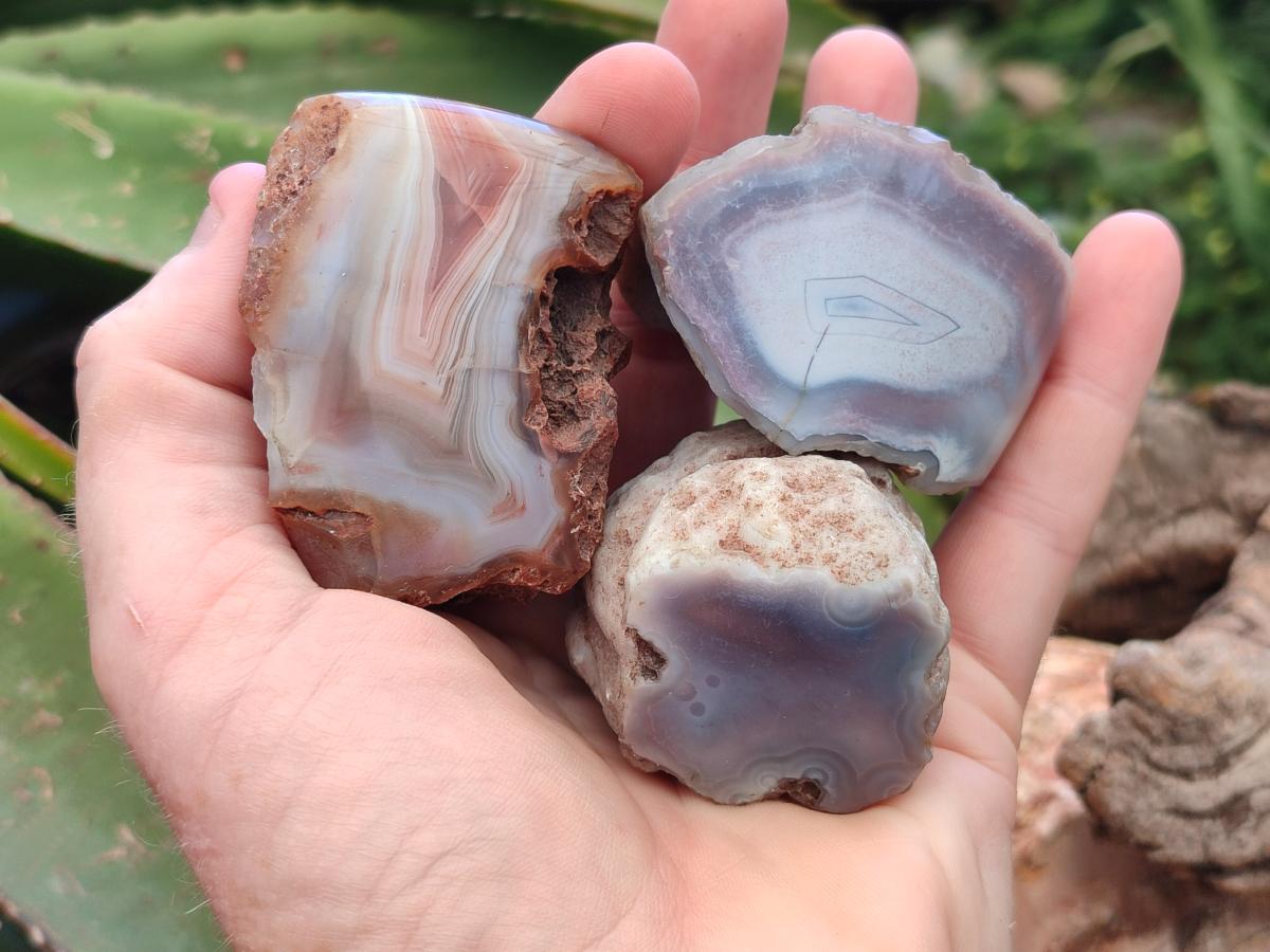 Polished Small One Side Red Shashe River Agate Nodules x 12 From Shashe River, Zimbabwe