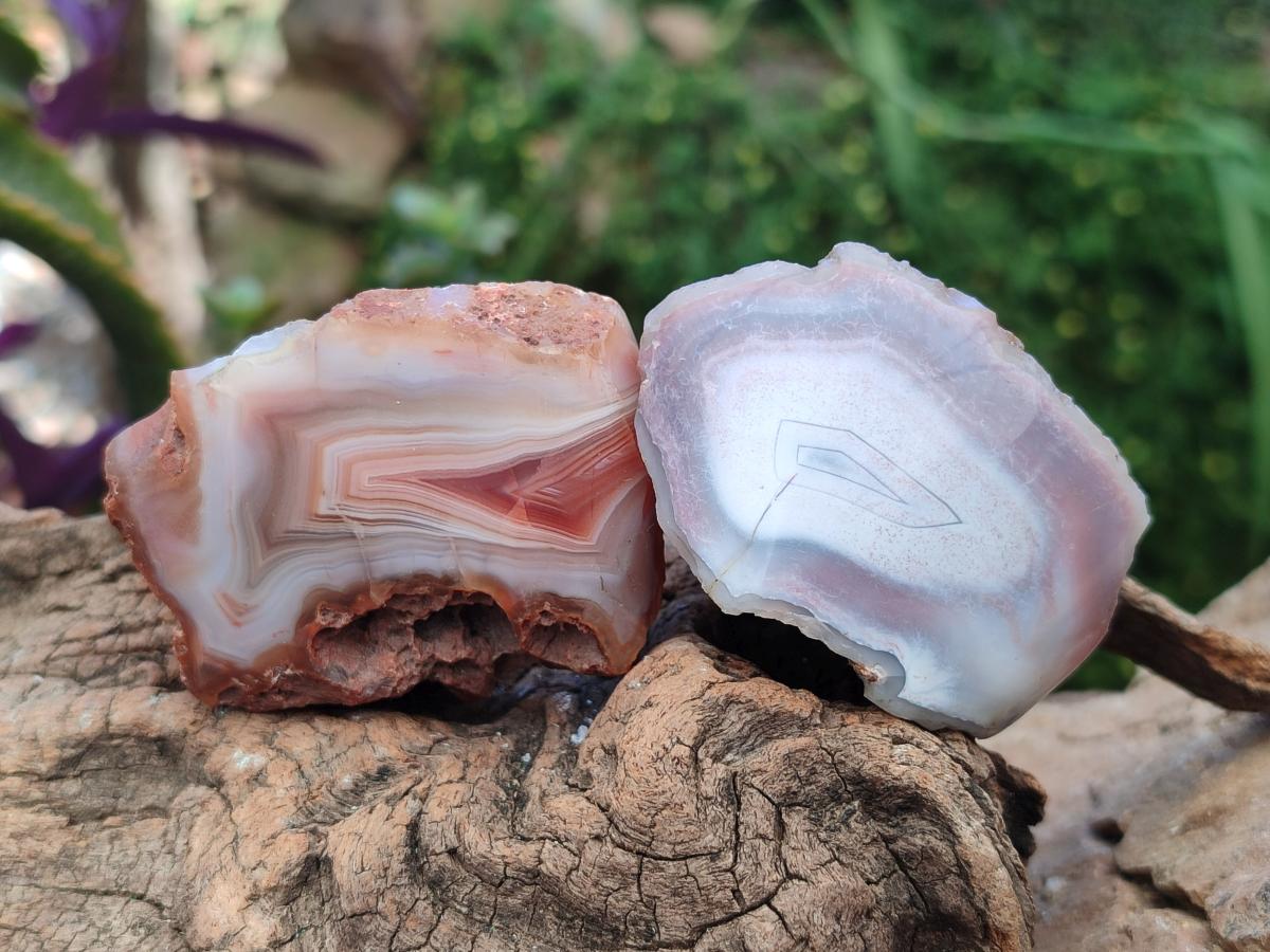 Polished Small One Side Red Shashe River Agate Nodules x 12 From Shashe River, Zimbabwe