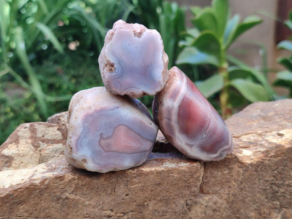 Polished Small One Side Red Shashe River Agate Nodules x 12 From Shashe River, Zimbabwe