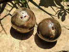 Polished Dadoxylon Petrified Wood Spheres x 3 From Gokwe, Zimbabwe