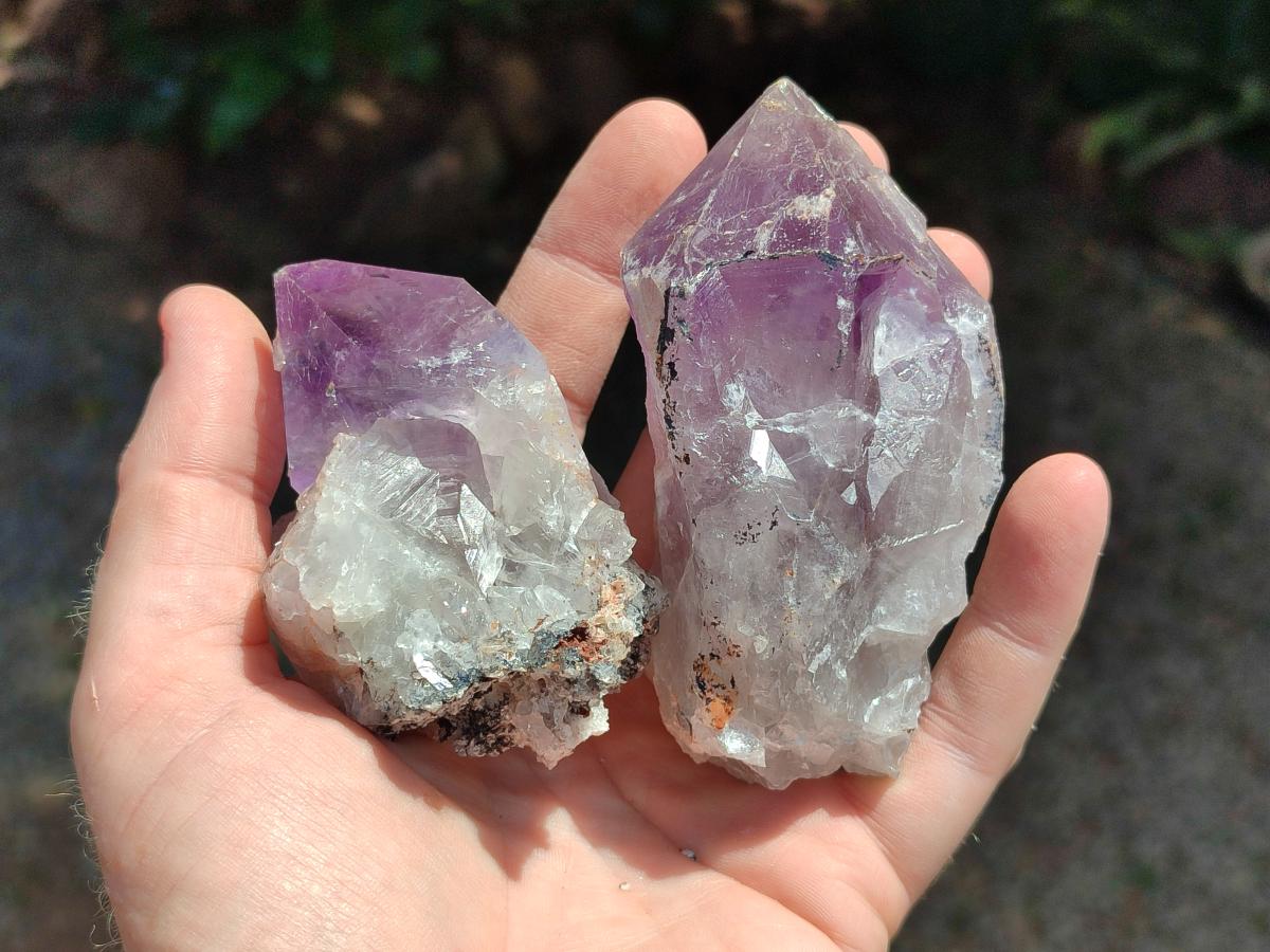 Natural Jacaranda Amethyst Crystal Clusters x 6 From Mumbwa, Zambia