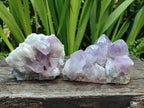 Natural Jacaranda Amethyst Crystal Clusters x 6 From Mumbwa, Zambia