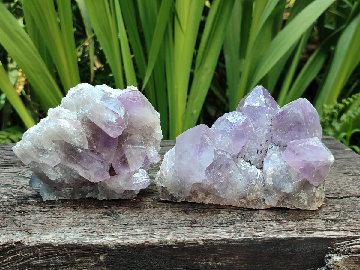 Natural Jacaranda Amethyst Crystal Clusters x 6 From Mumbwa, Zambia