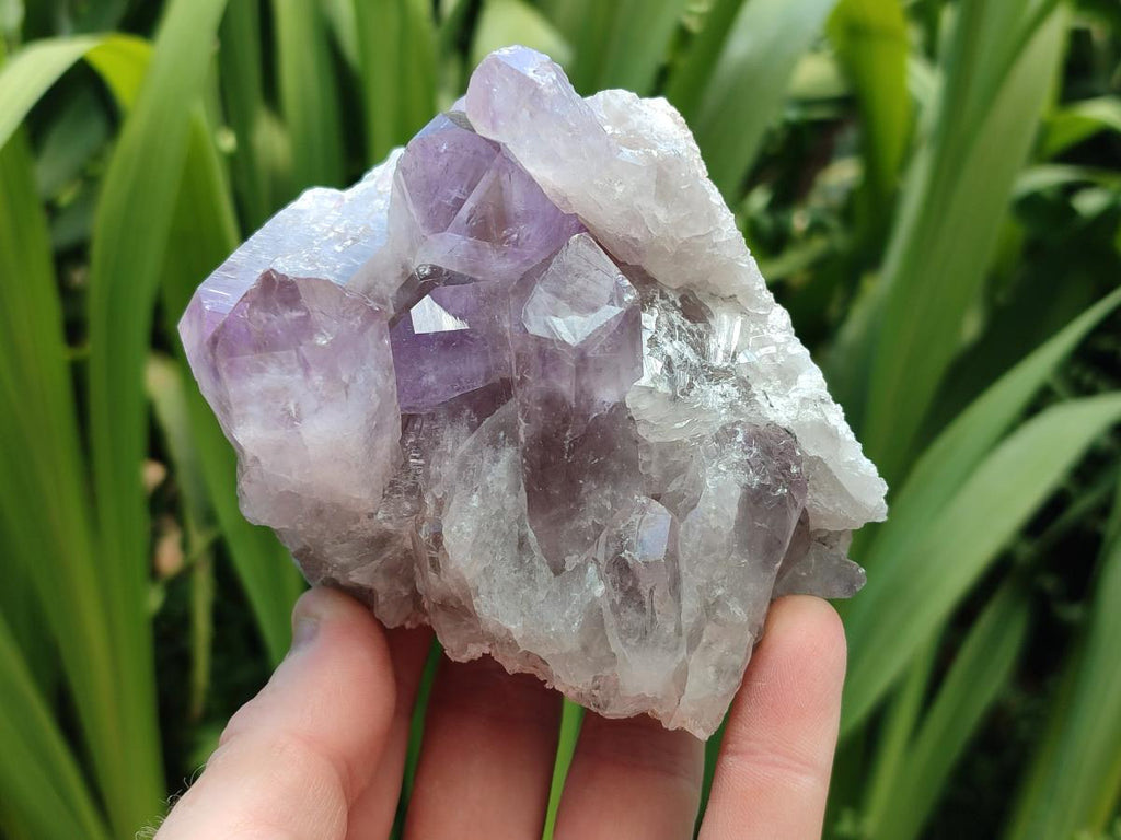 Natural Jacaranda Amethyst Crystal Clusters x 6 From Mumbwa, Zambia