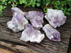 Natural Jacaranda Amethyst Crystal Clusters x 6 From Mumbwa, Zambia
