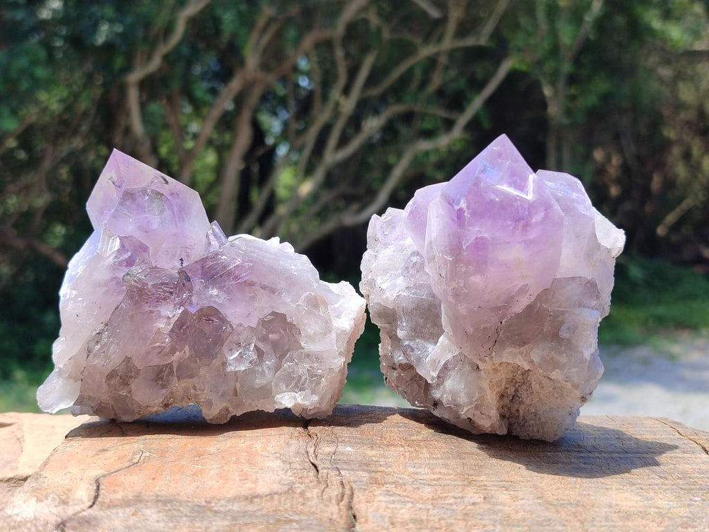 Natural Jacaranda Amethyst Crystal Clusters x 6 From Mumbwa, Zambia