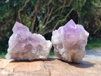 Natural Jacaranda Amethyst Crystal Clusters x 6 From Mumbwa, Zambia