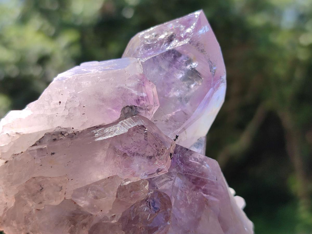Natural Jacaranda Amethyst Crystal Clusters x 6 From Mumbwa, Zambia