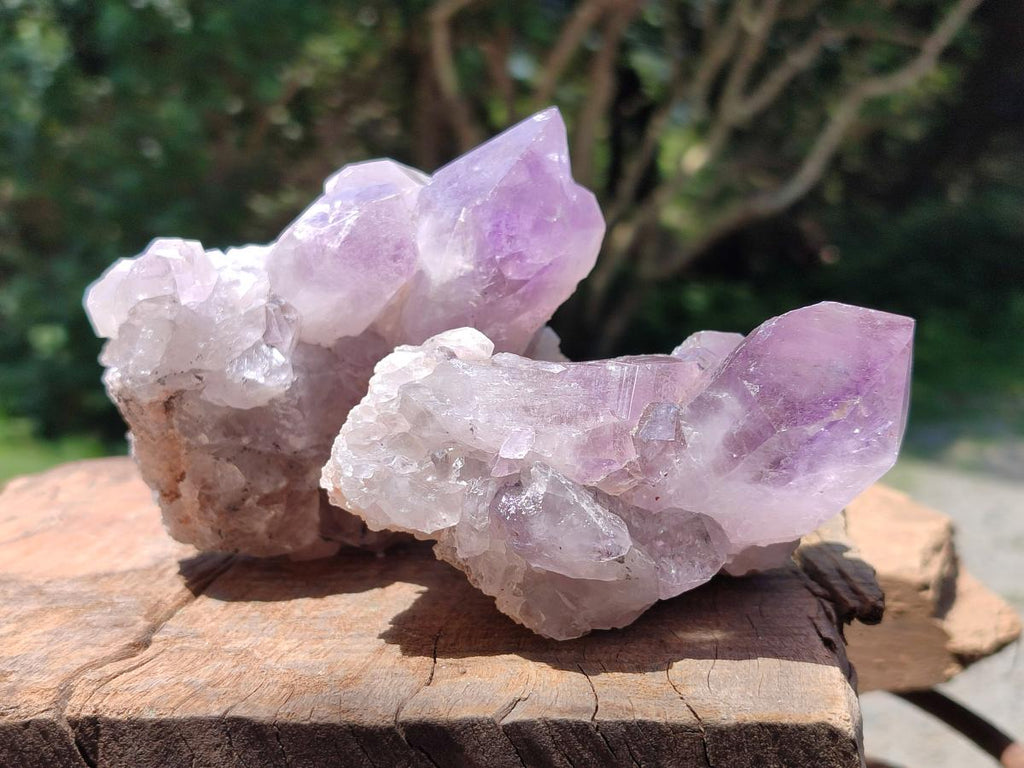 Natural Jacaranda Amethyst Crystal Clusters x 6 From Mumbwa, Zambia