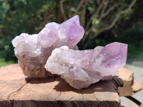 Natural Jacaranda Amethyst Crystal Clusters x 6 From Mumbwa, Zambia
