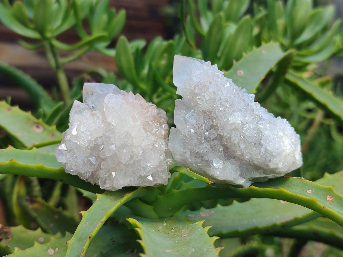 Natural White Fairy Spirit Quartz Crystals x 35 From Boekenhouthoek, South Africa