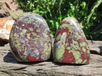 Polished Bastite Dragonsblood Stone Standing Free Forms x 2 From Tshipise, South Africa