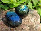 Polished Mini Rounded Labradorite Free Forms x 71 From Madagascar