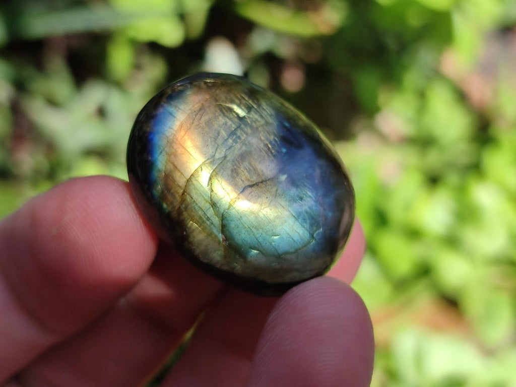 Polished Mini Rounded Labradorite Free Forms x 71 From Madagascar