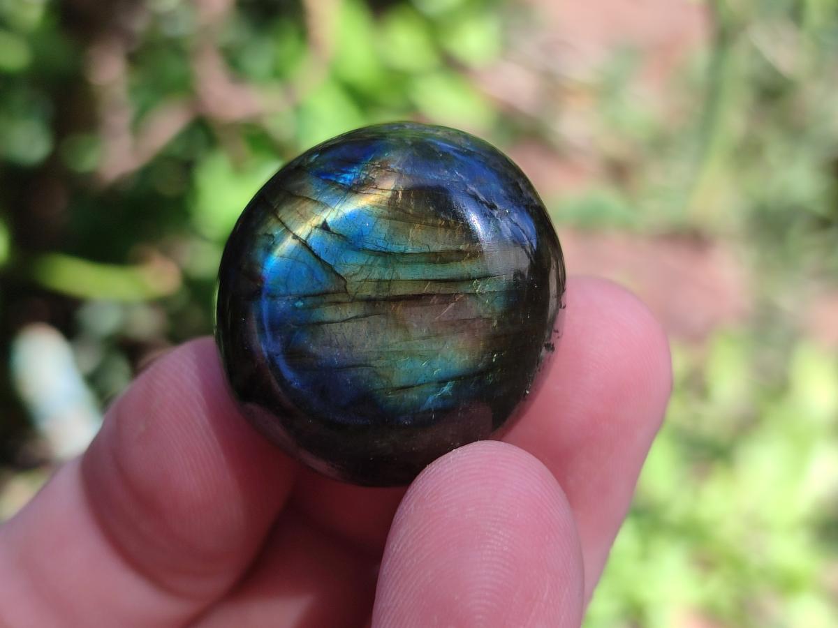Polished Mini Rounded Labradorite Free Forms x 71 From Madagascar