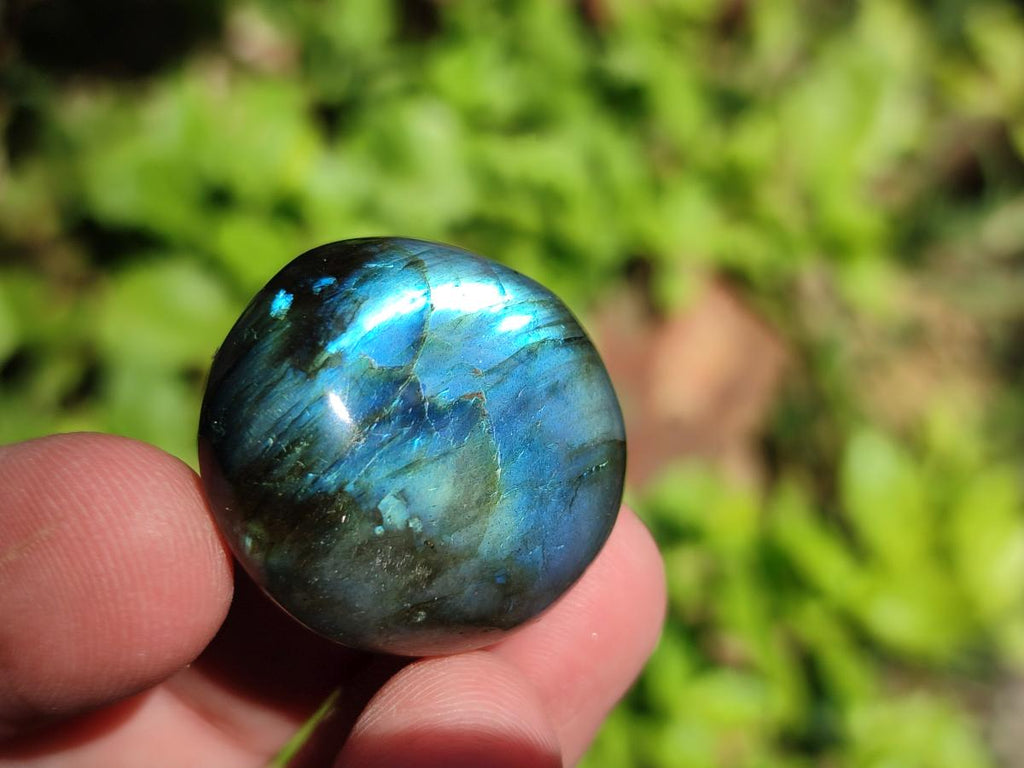 Polished Mini Rounded Labradorite Free Forms x 71 From Madagascar