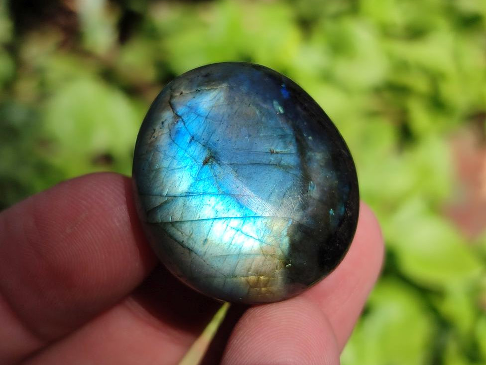 Polished Mini Rounded Labradorite Free Forms x 71 From Madagascar