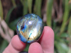 Polished Mini Rounded Labradorite Free Forms x 71 From Madagascar