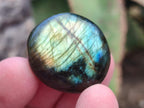 Polished Mini Rounded Labradorite Free Forms x 71 From Madagascar
