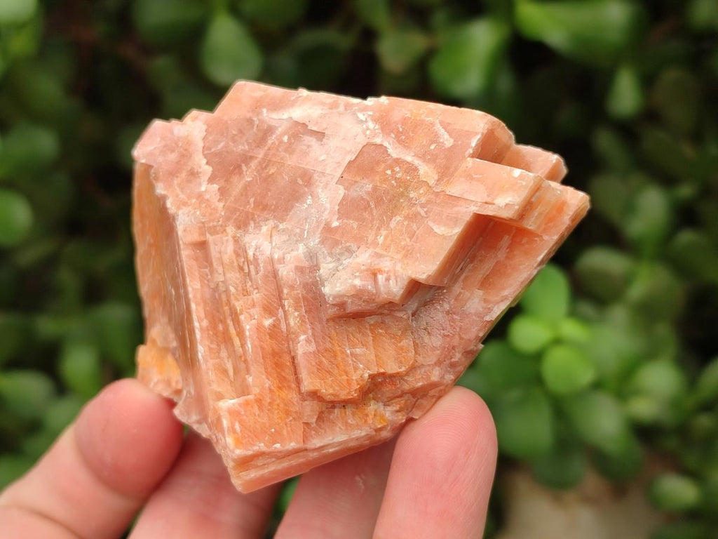 Natural Rhombohedral Sunset Orange Calcite Specimens x 12 From Spitzkop, Namibia