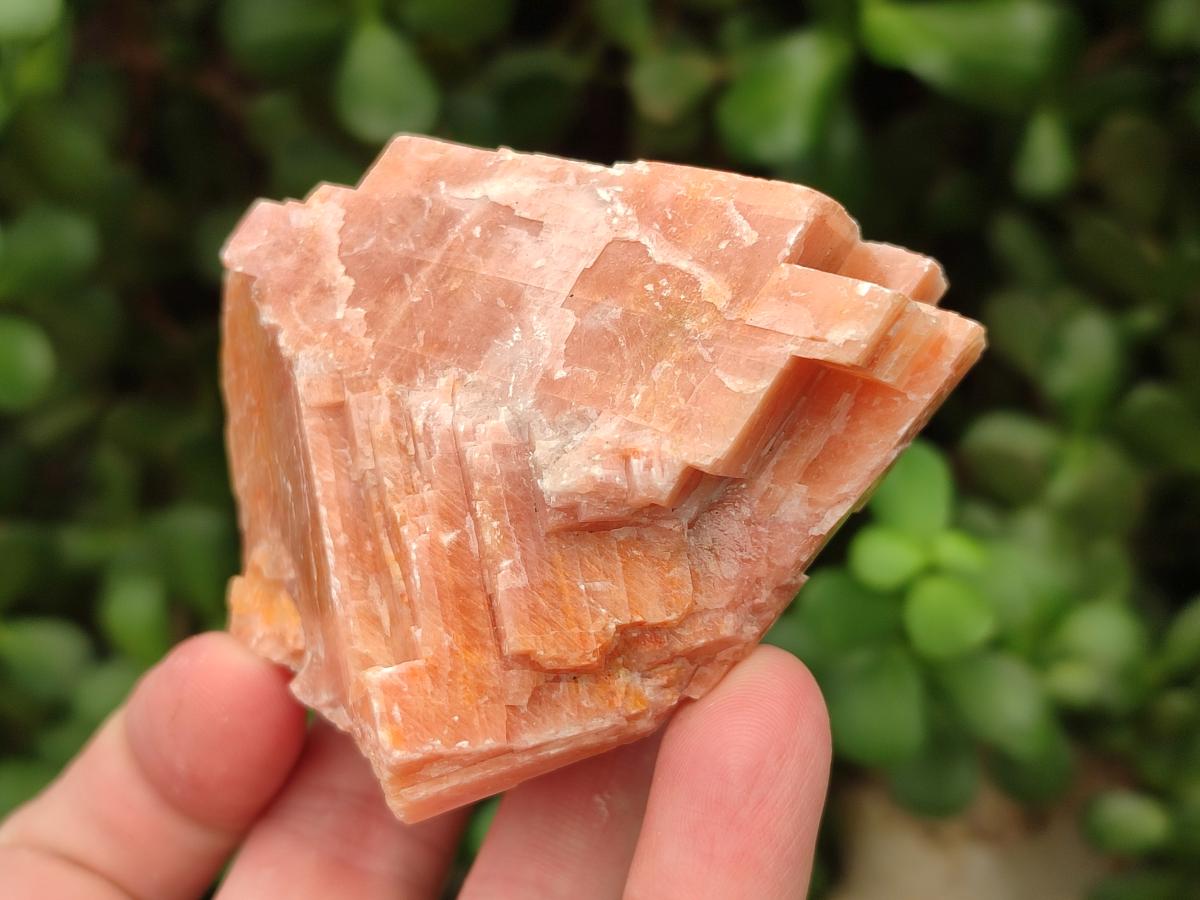 Natural Rhombohedral Sunset Orange Calcite Specimens x 12 From Spitzkop, Namibia