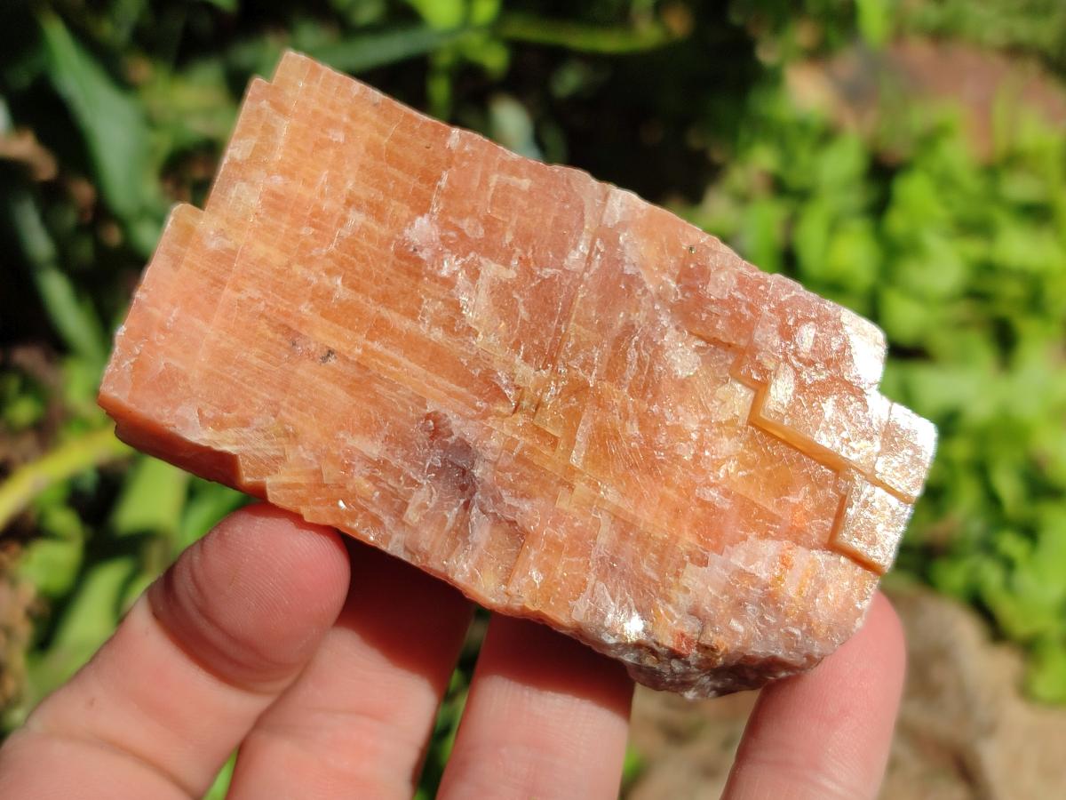 Natural Rhombohedral Sunset Orange Calcite Specimens x 12 From Spitzkop, Namibia