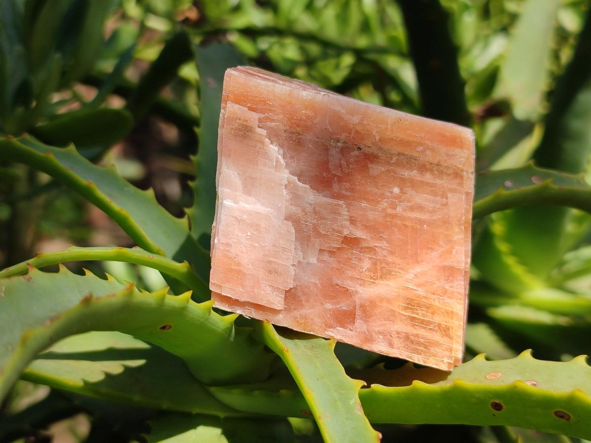 Natural Rhombohedral Sunset Orange Calcite Specimens x 12 From Spitzkop, Namibia