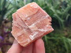 Natural Rhombohedral Sunset Orange Calcite Specimens x 12 From Spitzkop, Namibia