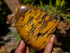 Polished Neolite Tigers Eye Standing Free Forms x 3 From Prieska, South Africa