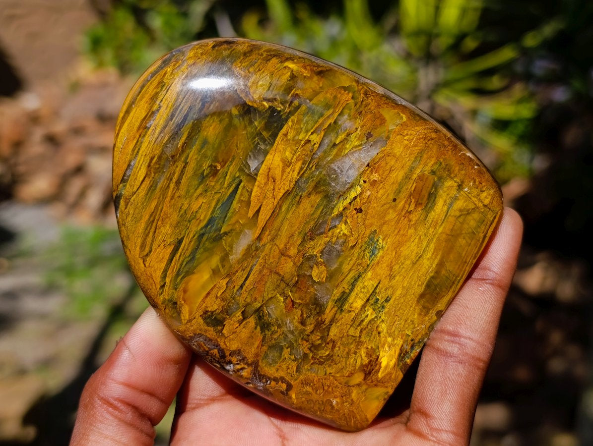 Polished Neolite Tigers Eye Standing Free Forms x 3 From Prieska, South Africa