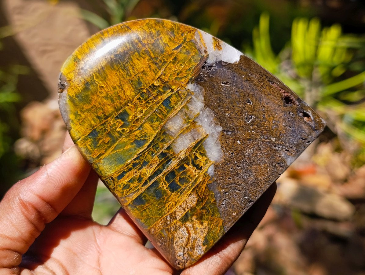 Polished Neolite Tigers Eye Standing Free Forms x 3 From Prieska, South Africa
