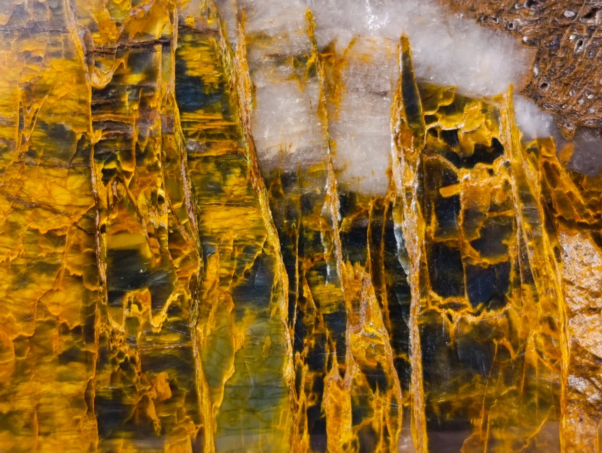 Polished Neolite Tigers Eye Standing Free Forms x 3 From Prieska, South Africa