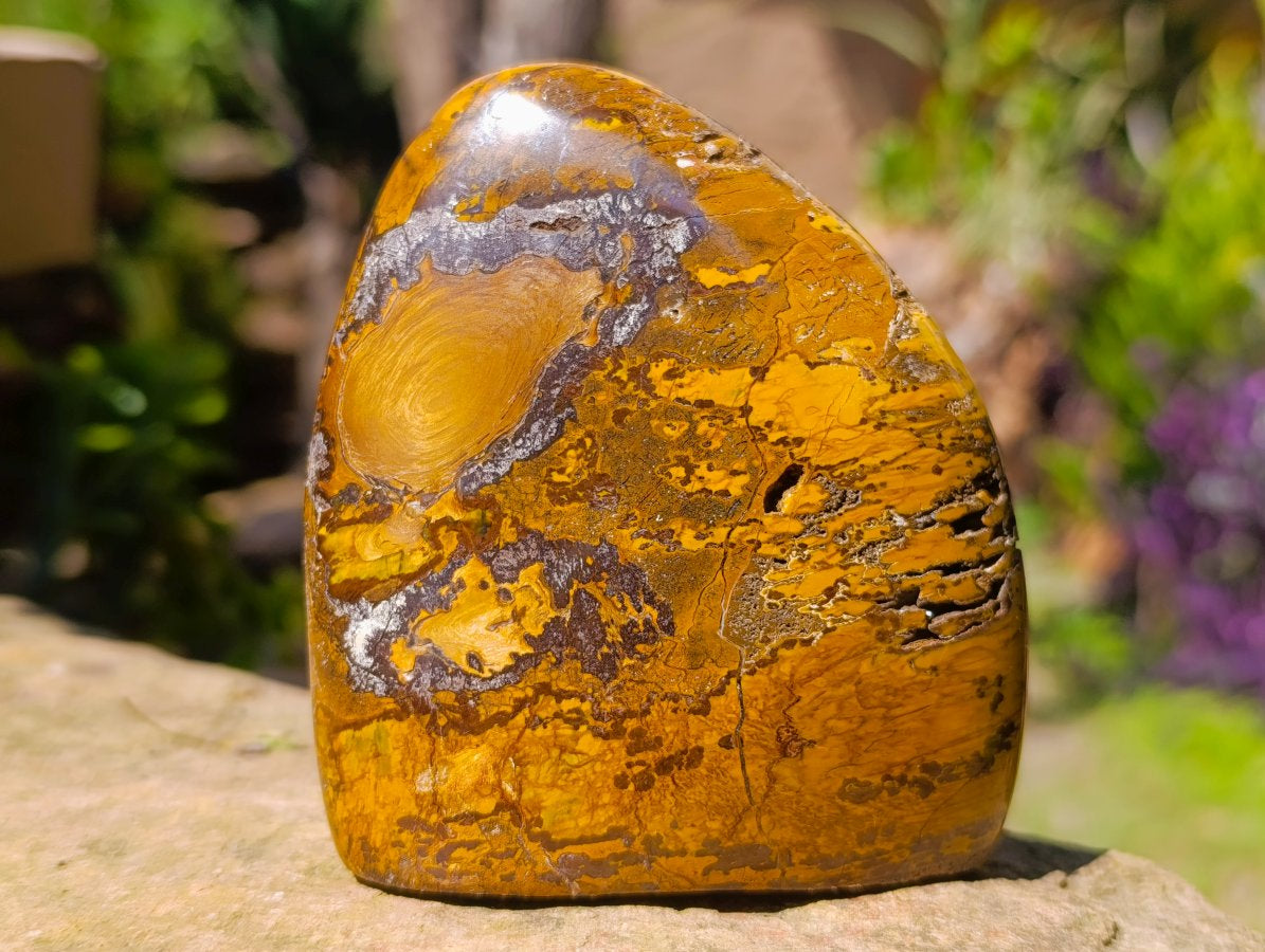 Polished Neolite Tigers Eye Standing Free Forms x 3 From Prieska, South Africa