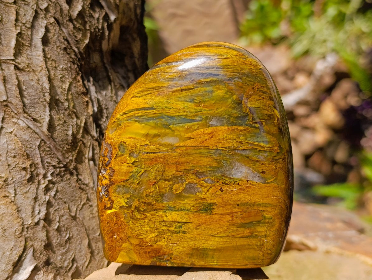 Polished Neolite Tigers Eye Standing Free Forms x 3 From Prieska, South Africa