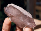 Natural Window Smokey Amethyst Crystals x 12 From Chiredzi, Zimbabwe