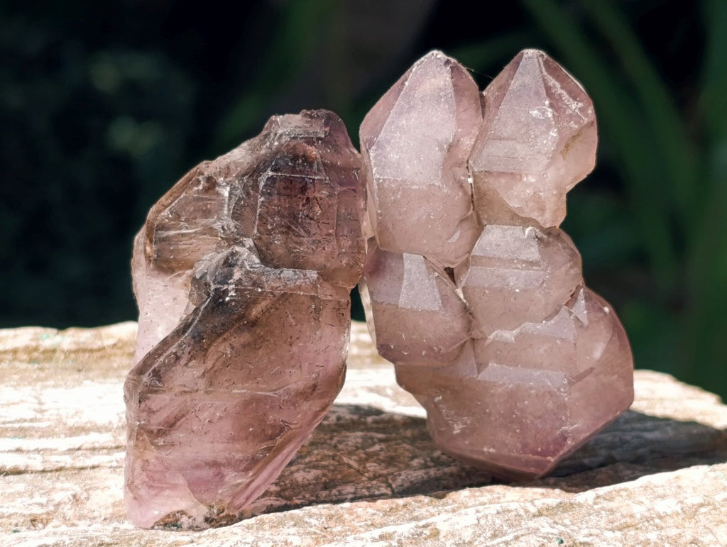 Natural Window Smokey Amethyst Crystals x 12 From Chiredzi, Zimbabwe