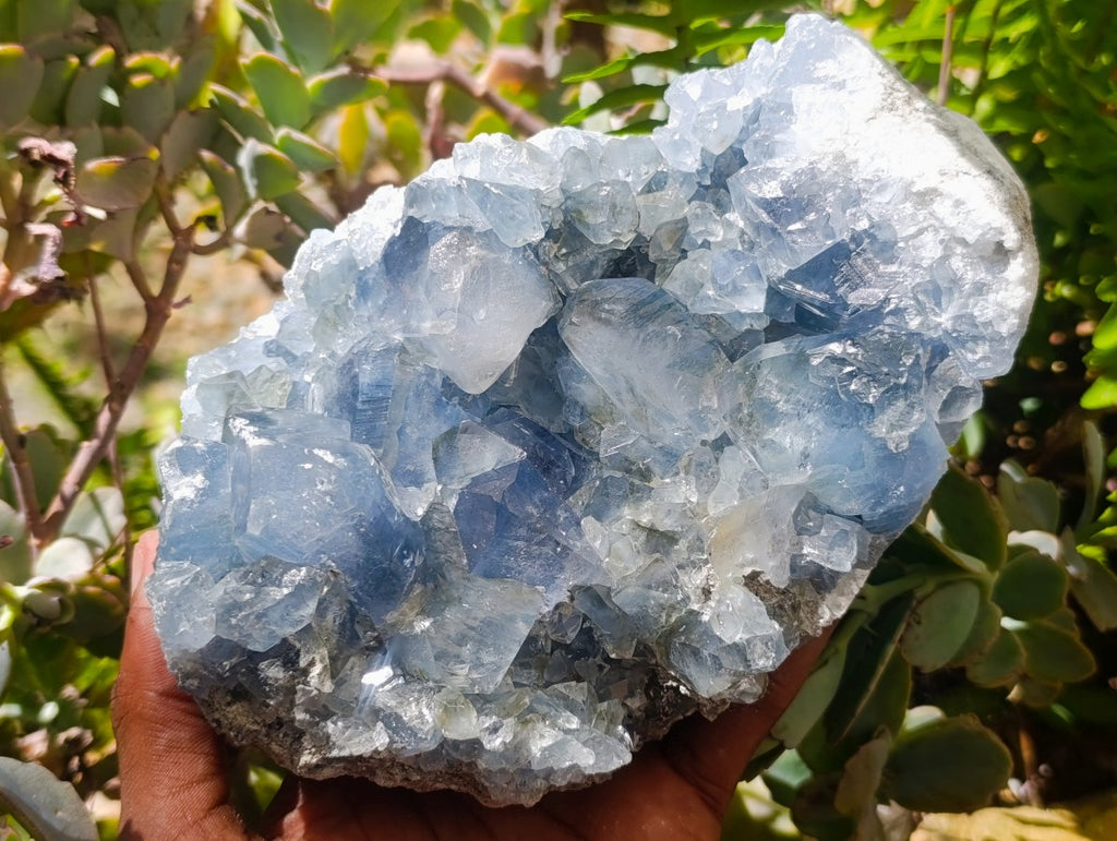 Natural Blue Celestite Specimens x 2 From Sakoany, Madagascar